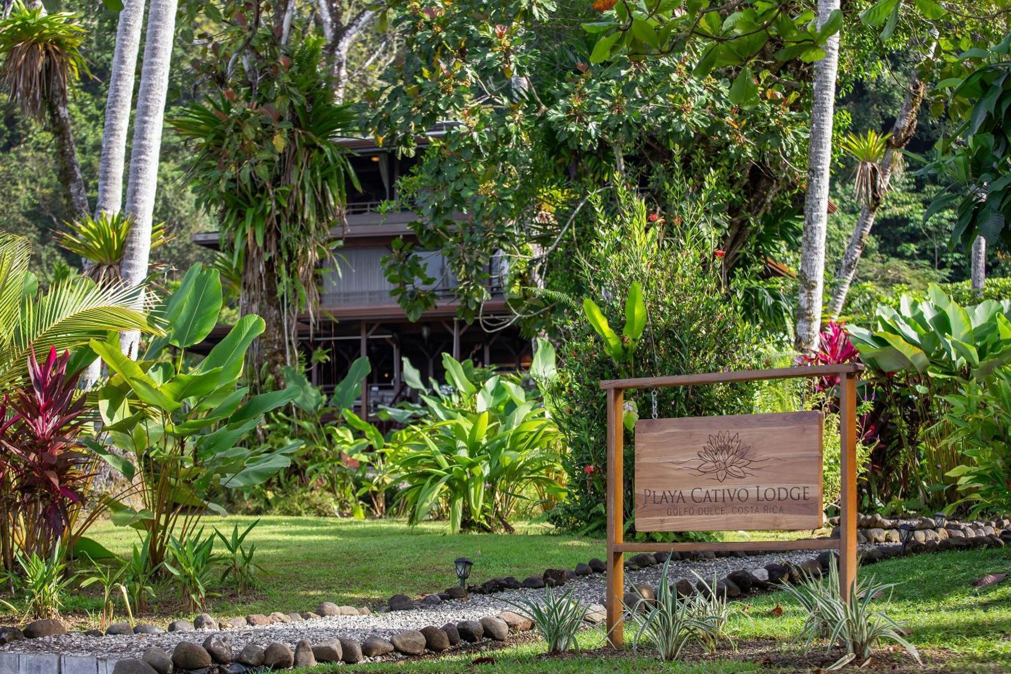 Playa Cativo Lodge Esquinas Extérieur photo